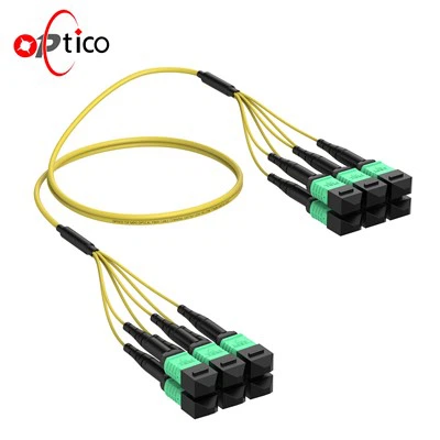 Câble de raccordement en fibre optique multimode MPO 72F OM5